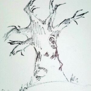 Black and white sketch of a leafless tree with textured bark.